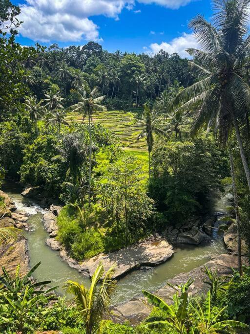 Ubud Riverside Villa 外观 照片