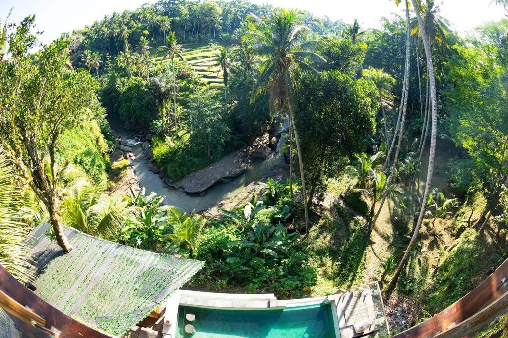 Ubud Riverside Villa 外观 照片