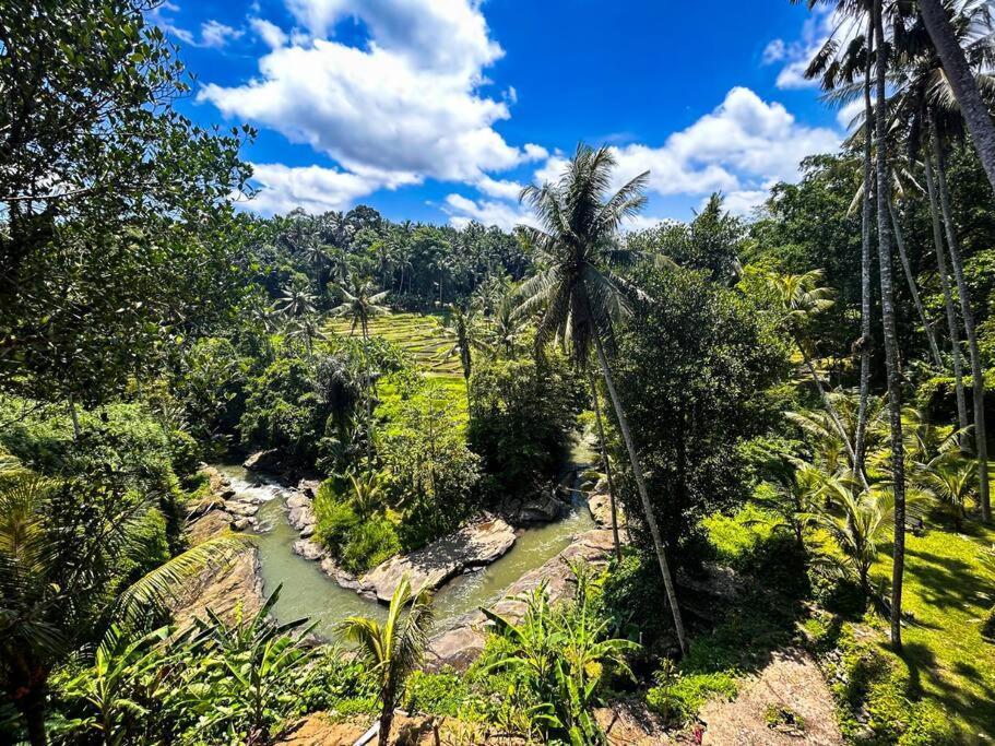 Ubud Riverside Villa 外观 照片
