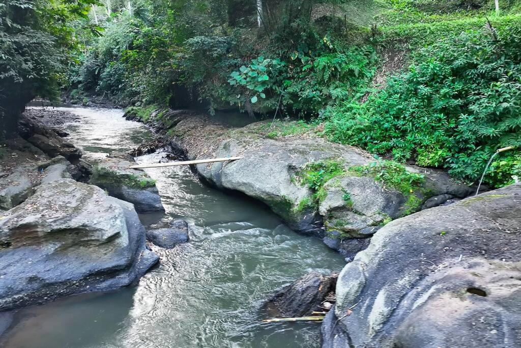 Ubud Riverside Villa 外观 照片